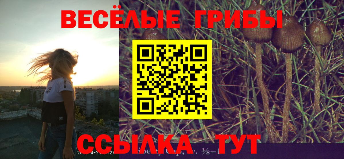 где купить наркоту  Вход с VPN  Нижнекамск  Галлюциногенные грибы GOLDEN TEACHER 