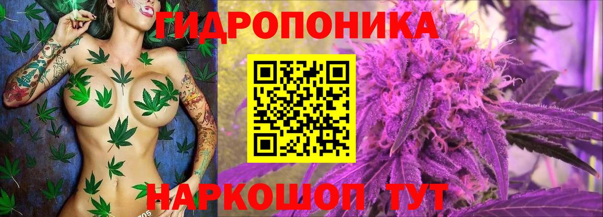 Конопля конопля  Марихуана VHQ  Вход с VPN  Шишки марихуана индика  Нижнекамск  Бошки марихуана ГИДРОПОН 